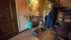 Redare Romanca si sotul ei dorit de pizda vrea mereu sa ii bage morcovul in pizda