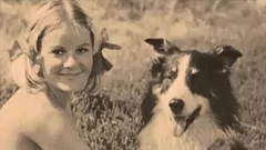 Play Dark Lantern Entertainment Presents: Retro Hairy Pussy & K9 Action - Vintage Beastial Encounter