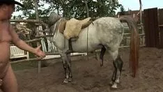 Jouer Porno avec des chevaux qui se font élever la bite lorsqu'ils font l'amour avec une maîtresse