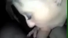 Jouer Milfa dalla Romania succhia il cazzo in un film porno in auto rumeno
